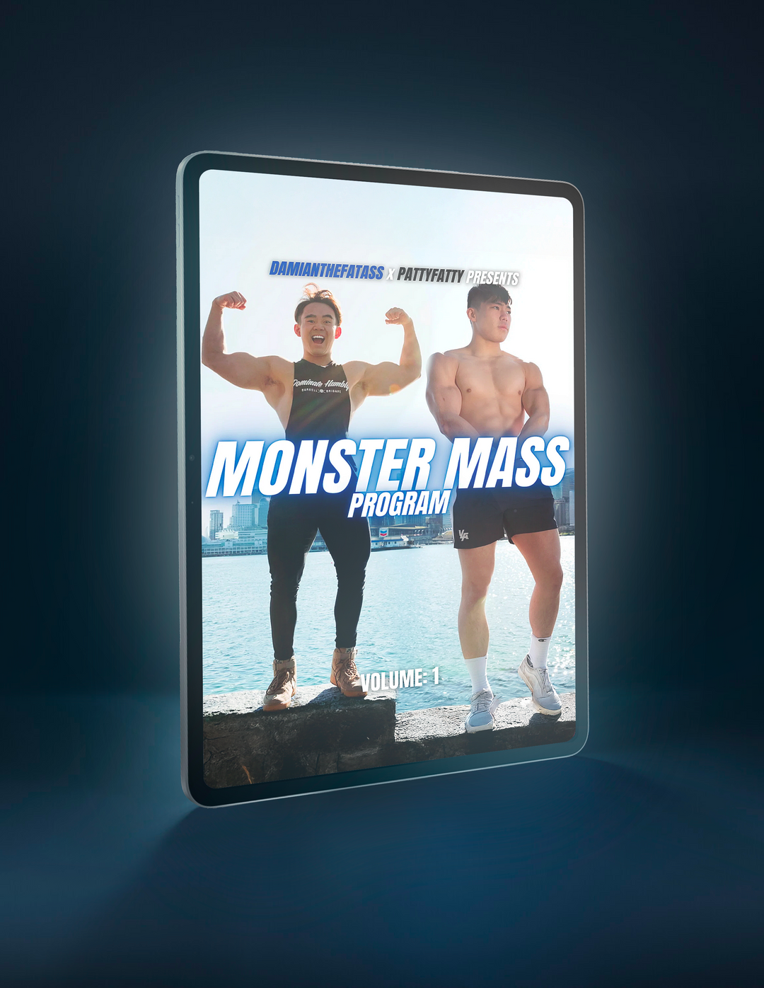 BODYBUILDER PROGRAM