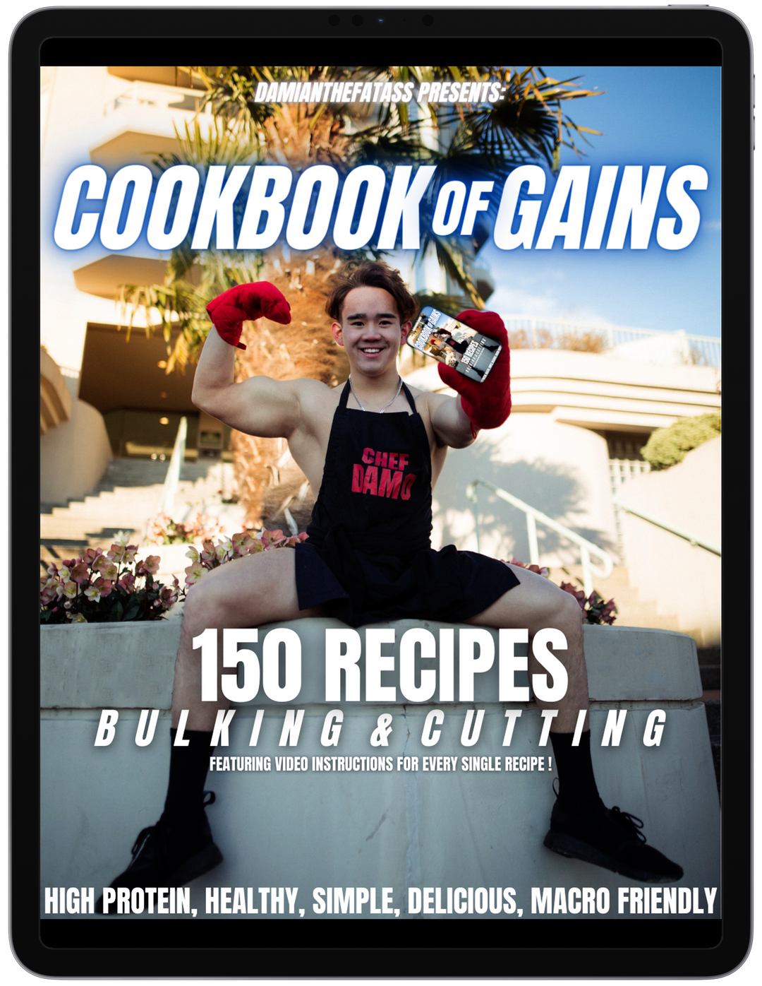 COOKBOOK OF GAINS - PDF Edition