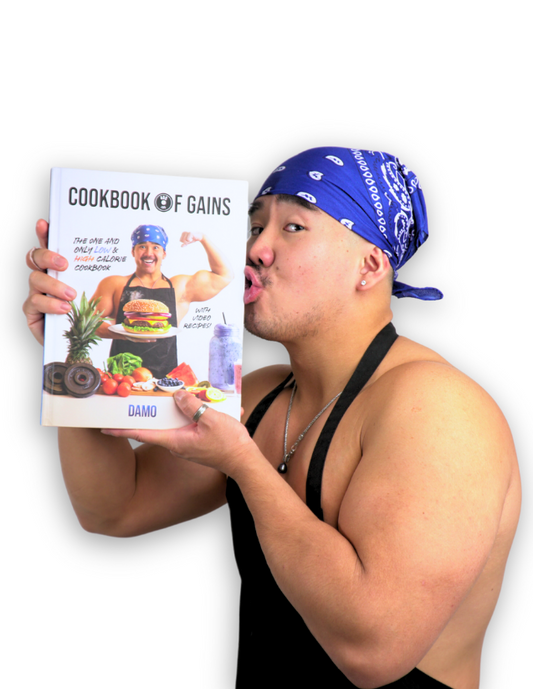 Damian Hu DAMO Cookbook of Gains