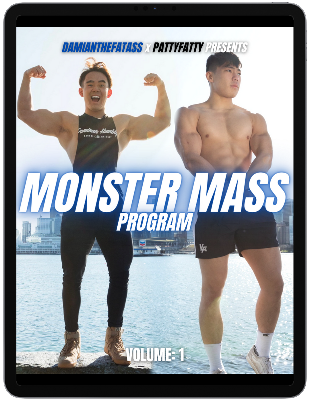 BODYBUILDER PROGRAM