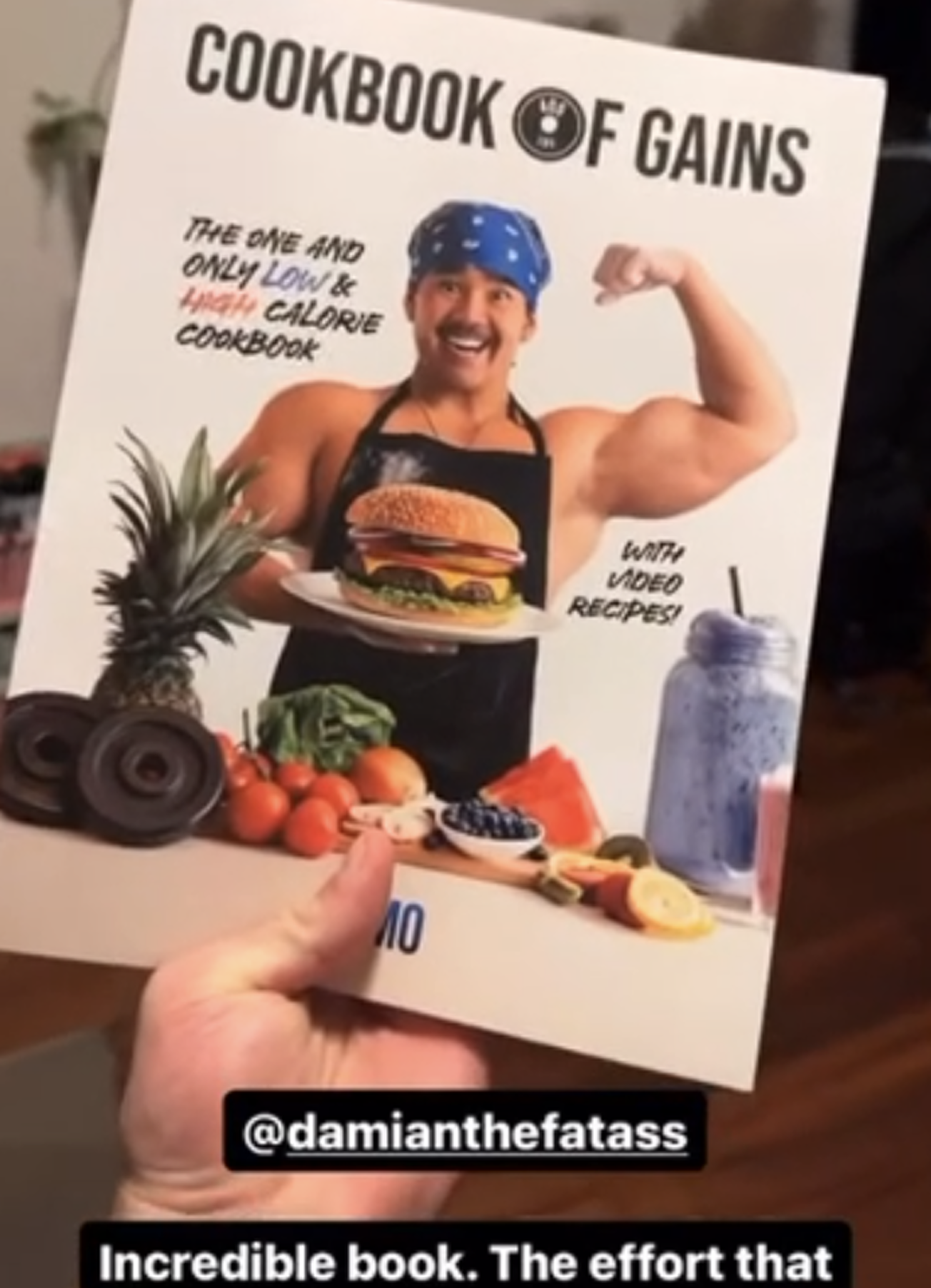 COOKBOOK OF GAINS - New PDF Edition