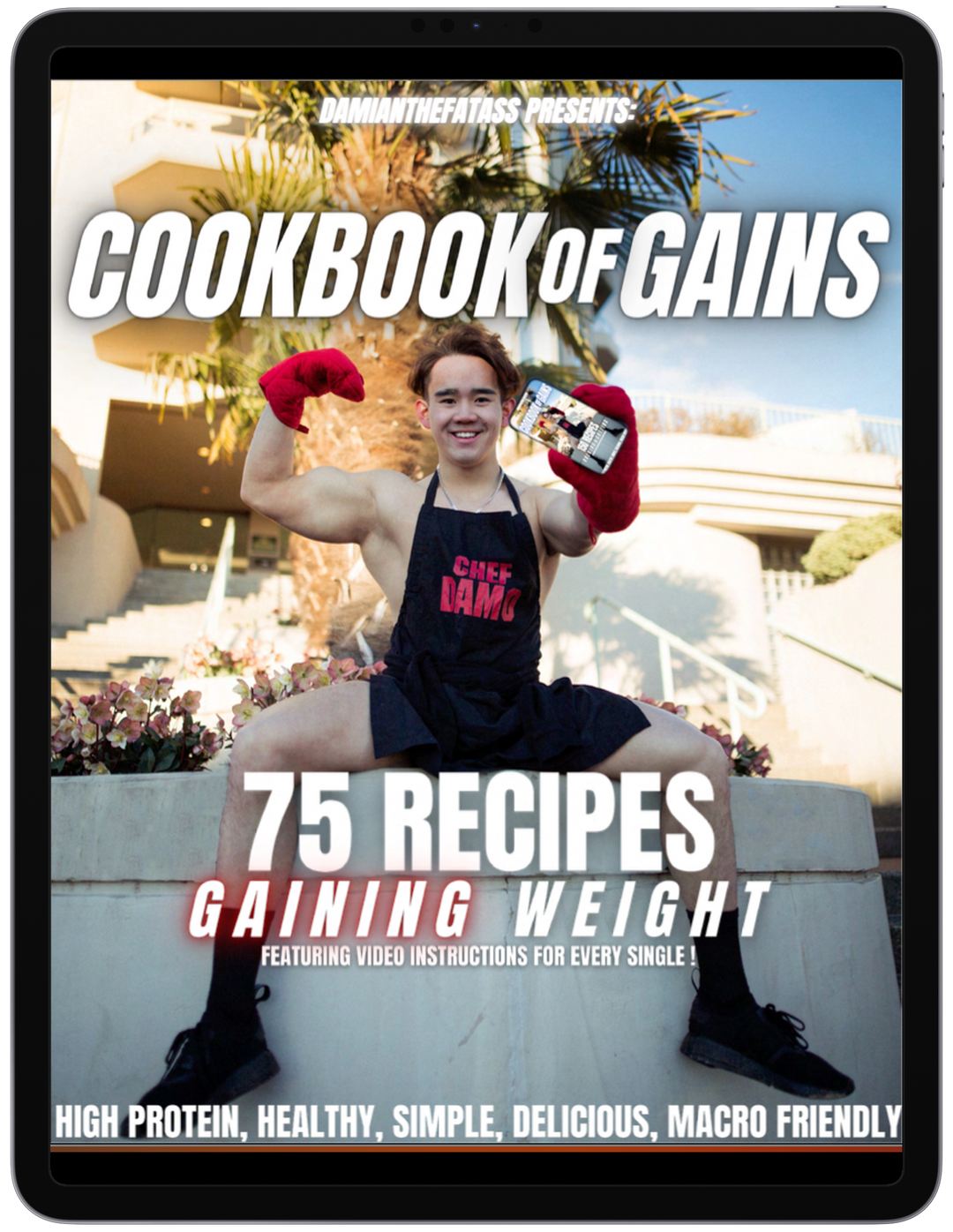 COOKBOOK OF GAINS - PDF Edition